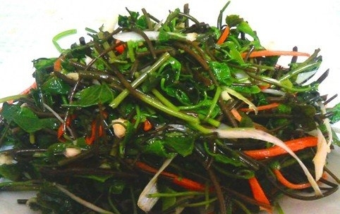 健康饮食 春季野菜的养生功效