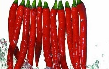辛辣食物会增加胃部负担