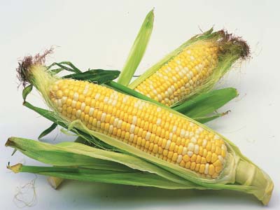 防癌抗癌食材——玉米
