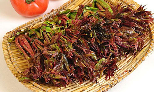 春季清火 这些蔬菜不能少