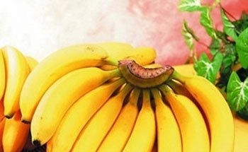 香蕉皮煮水治口腔溃疡