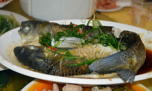用蒸鱼豉油怎么做清蒸鱼.jpg