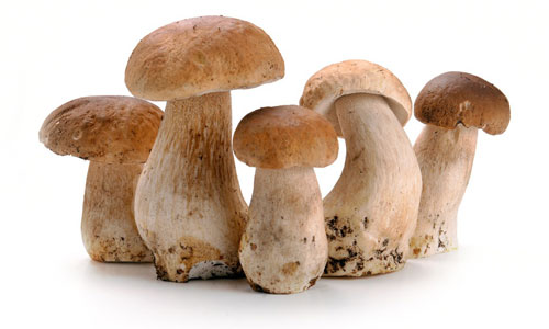 中国古代御膳爱用一种菜.jpg