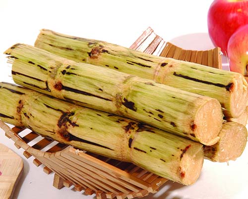 补血水果之王甘蔗可以防病