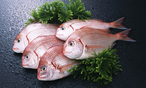有益人类大脑的6种食物.jpg