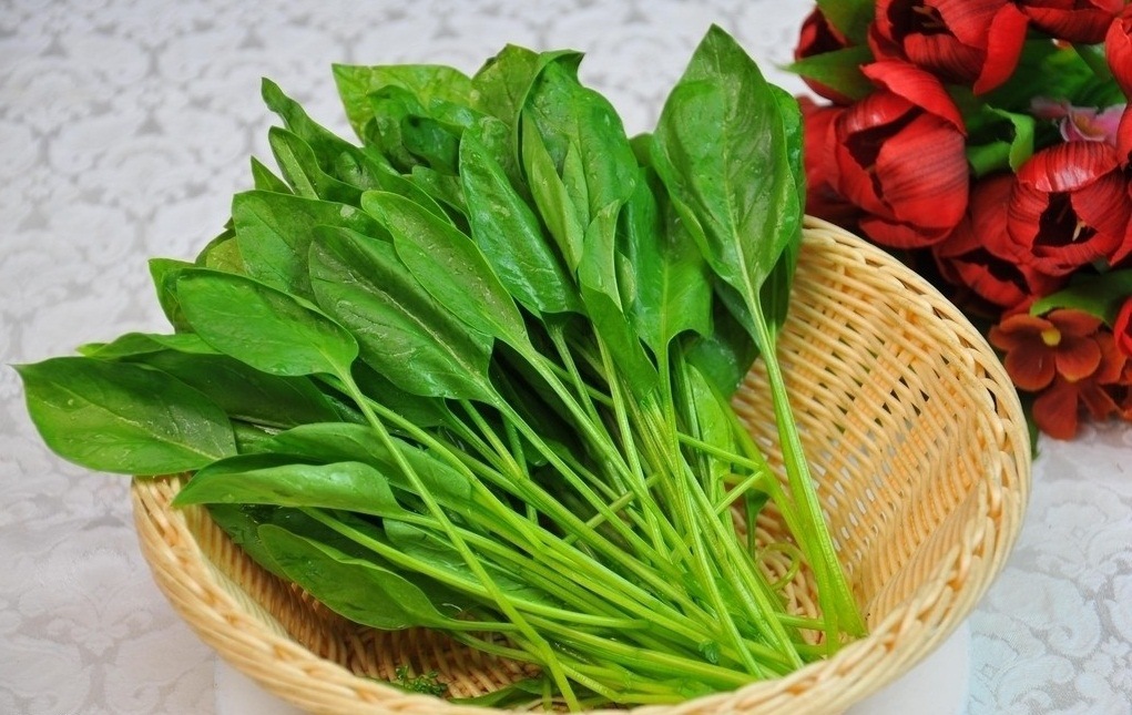 菠菜