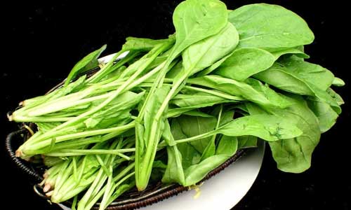 会让药物变毒药的食物种类