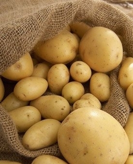 土豆的营养价值全剖析