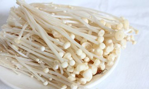 6大菌类食物提高免疫力.jpg