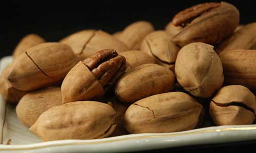 科学健康饮食经 营养师的建议