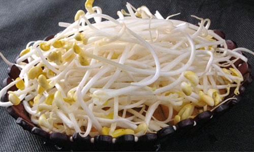 冬季适宜进补的八种食物