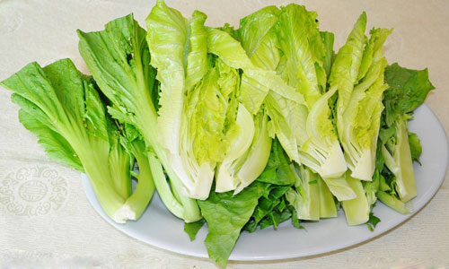 生菜的营养和价值.jpg