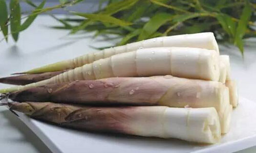春季食笋正当季，带您看看它们都能治啥病