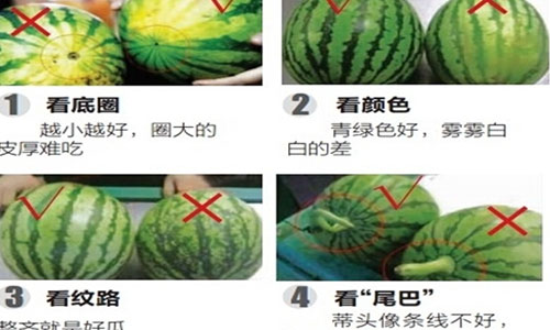 怎样挑选好的西瓜.jpg