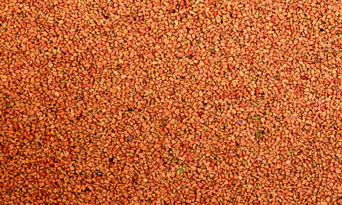 盘点6种黄金食物吃法禁忌.jpg