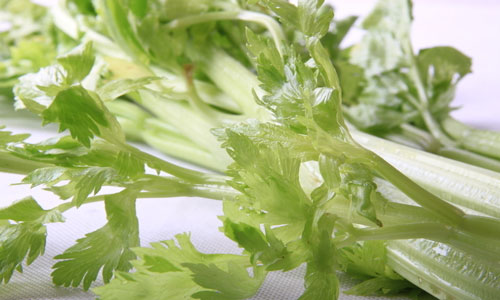 芹菜的营养和价值.jpg