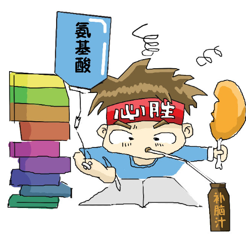 高考饮食：一日三餐这样吃最科学