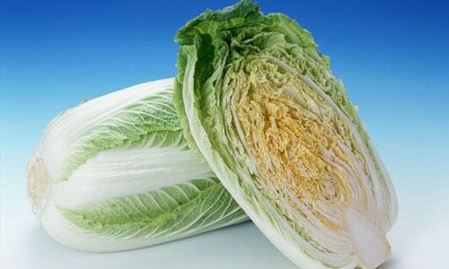 大白菜要如何选购