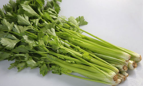 生活中吃芹菜有很好的降血压食疗功效