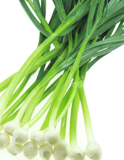 哪种食物发了芽吃  营养竟然能翻倍