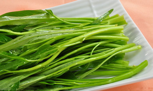 空心菜的营养和价值.jpg