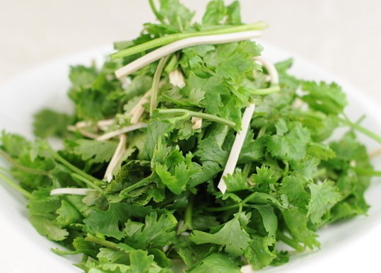 香菜