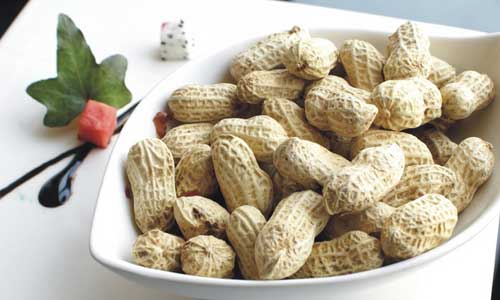 养胃的食物有哪些