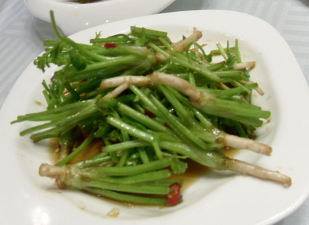 小孩发烧勿输液 三样蔬菜把病灭 
