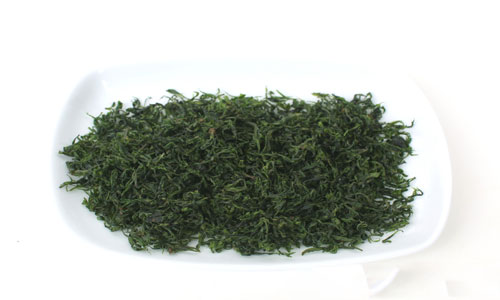 小叶苦丁茶的药用价值.jpg