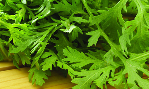 这样做芹菜叶最营养.jpg