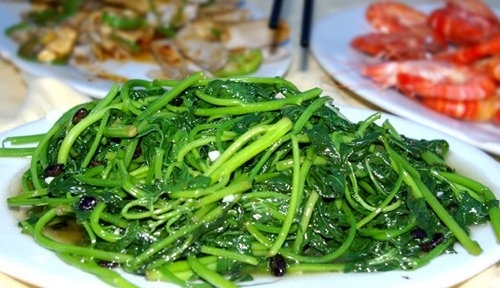 青菜帮你在秋季除燥防病