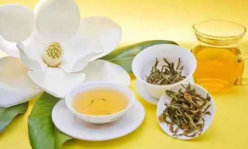 喝菊花茶可降压缓解头痛吗