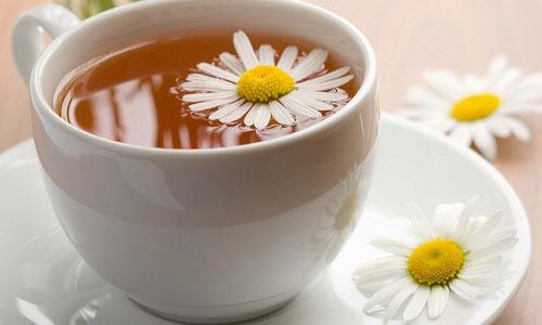菊花茶.jpg