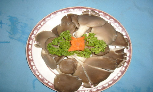 平菇炒鸡蛋的做法.jpg