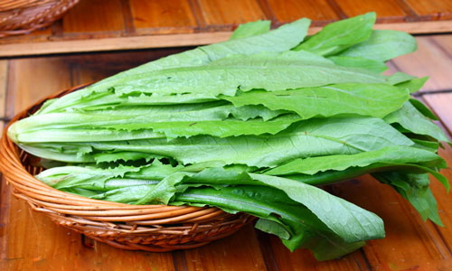 油麦菜的营养和价值.jpg