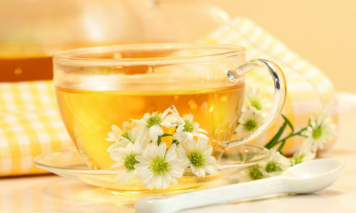 春天喝菊花茶的好处