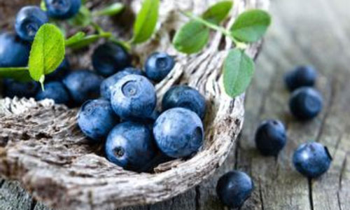 10种食物快速提升秋季免疫力