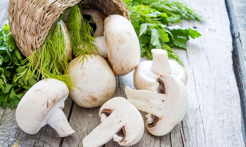 吃菌类食物的科学方法.jpg