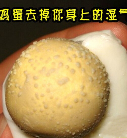 鸡蛋能去湿气 用图辩真与假