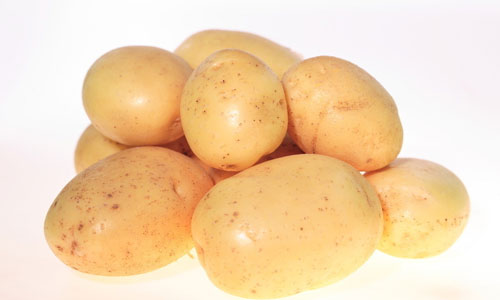 土豆.jpg