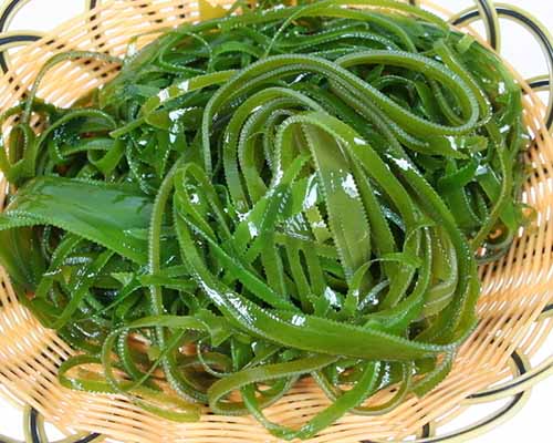神奇海带护发排毒又养颜