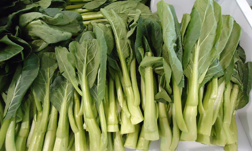 吃青菜的方法.jpg