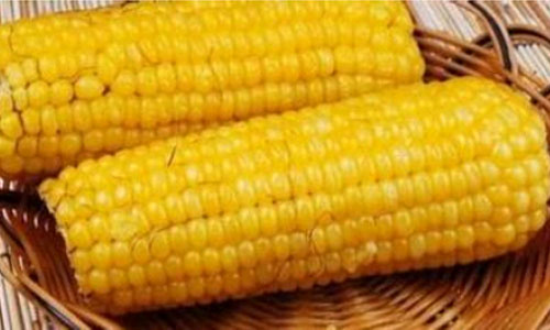 9种食物有降脂清肠功效