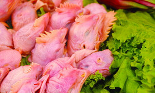 吃货必看:这种肉吃了100%短命