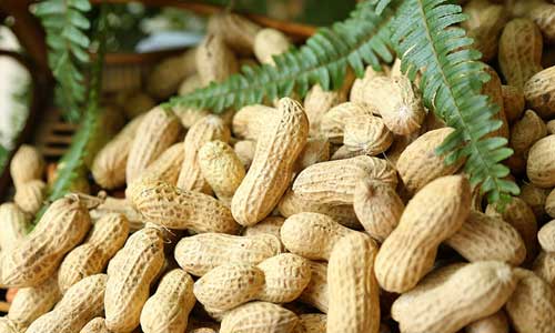 15种健康零食饭后可以吃
