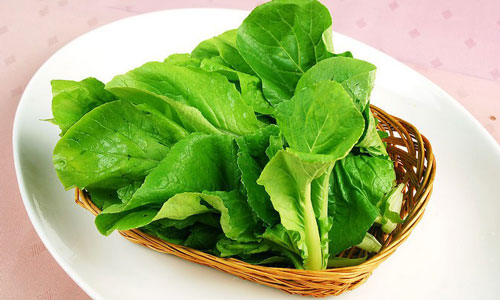 青菜的营养及价值和作用.jpg