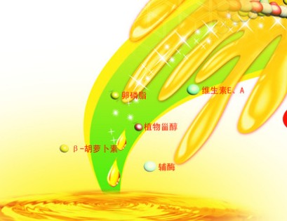 食用油哪种好 选油先看标签