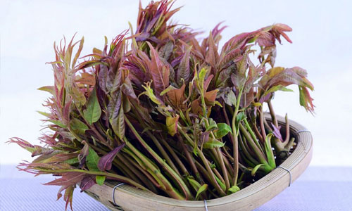 春季6种蔬菜清肠排毒