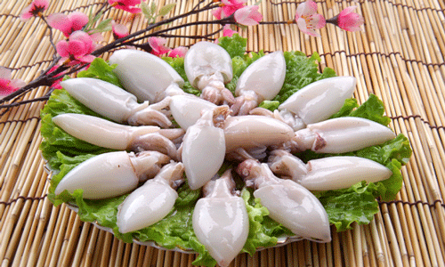 墨鱼.gif