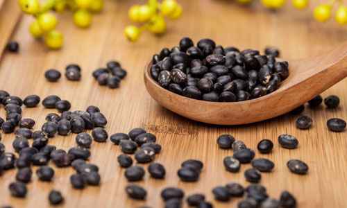 号称豆中之王！有了它其它补药甚至都可以不用了